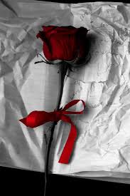 Aesthetic Black And Red Rose Wallpaper Raindrops And Roses Raindrops And Roses Red Roses Rose Wallpaper