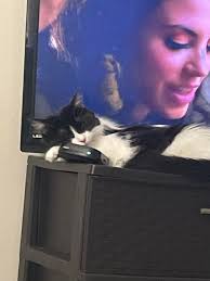 What is the difference between the Pass Program and Home to Home?