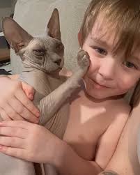 Our sweet sweet Boy 💔 My heart is absolutely shattered. My son's best  friend taken away instantly. Our family member, Elvis kitty meow. 😻 Two  nights ago Elvis had a heart attack