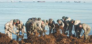 Kateryna Bilyk - a vision of desire in every frame