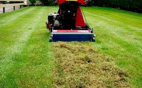 Use a vertical mower to pull the thatch out from the lawn to increase air and moisture pockets within the soil. How Often Should You Dethatch Your Lawn Solved