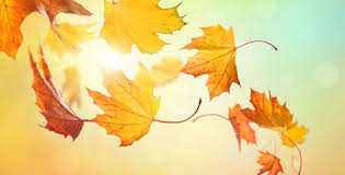 Thanksgiving In Canada In 2021 Office Holidays