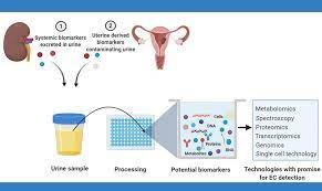 Diagnosis, treatment and management salivary biomarkers and their application to. Frontiers Urinary Biomarkers And Their Potential For The Non Invasive Detection Of Endometrial Cancer Oncology