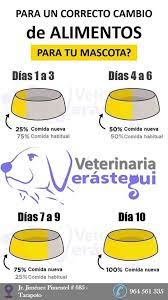 Para Un Correcto Cambio De Alimentos Para Tu Mascota Son Recomendaciones De Tu Veterinaria Verastegui Dog Training Courses Become A Dog Trainer Dog Behavior