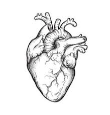 We did not find results for: Anatomical Heart Tattoo Vector Images Over 220