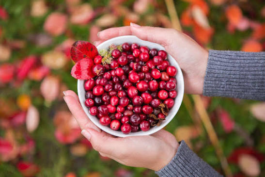 Vitamin B12 Cranberry Ingredient