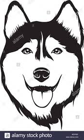 Siberian Husky Dog Cartoon Cuteanimals Easy puppy clipart cute dog drawing transparent cartoon easy. siberian husky dog cartoon cuteanimals