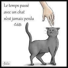 He was active and loved the site coquin rencontre gratuit outdoors, and he had no outward health problems, his family says? Citation Le Temps Passe Avec Un Chat N Est Jamais Perdu Colette Citation Chat Pensees Positives