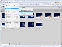 Adobe photoshop album se 3 última versión: Download Adobe Photoshop Album Starter Edition 3 2