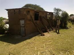 Image result for Antherotoma naudinii