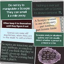 Highly intelligent and very courageous, scorpio is no shrinking violet. Quotes About Scorpio Personality Traits Quotesgram