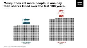 This is a list of the deadliest animals to humans worldwide, measured by the number of humans killed per year. Mosquitoes Kill More People Every Day Than Sharks Do In A Century World Economic Forum