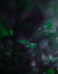 100 Blur Background Hd 2021 Free Stock Image Free Download Features of this cb background app:high quality cb edits backgrounds ,high quality cb edits png's,awesome pose collection,save your cb bckgrounds to your gallery. 100 blur background hd 2021 free stock