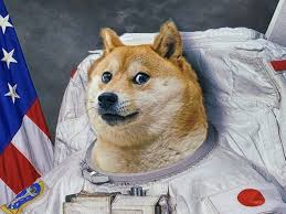 Elon musk is tweeting about dogecoin again as doge rallies 25% on binance. Elon Musk Tweets In Support Of Dogecoin After Price Grows 420 In A Day