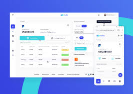 Nubi Case Study Indicius Design Agency