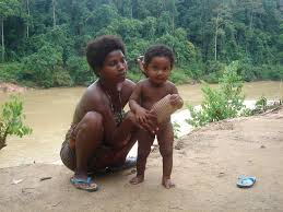 Maybe you would like to learn more about one of these? Orang Asli Village Taman Negara Tommy Madams Flickr