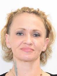 Chancey Colwell escape: People arrested at home face felony charges