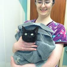 From the first checkup to their precious golden years, you can count on us every step of the way! St Paul Veterinary Clinic 35 Photos 63 Reviews Veterinarians 431 N 27th St Milwaukee Wi Phone Number