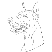 Great dane colors the colorful world of the great dane. Dog Breed Coloring Pages Surfnetkids