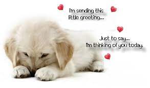 I got a feeling almost like a hug, and said out loud that i love you too cause you know carnations were your favorite flower and keith whitley has a special place in my heart because. Quotes About Just Thinking About You 56 Quotes