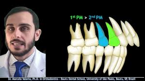 American Journal of Orthodontics and Dentofacial Orthopedics