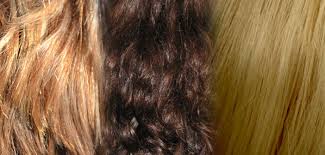 The number of times you use this black tea rinse will have a cumulative effect—the more you do it, the greater the effect. Tea For Hair Growth