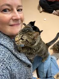 Kittens for adoption and great items for sale