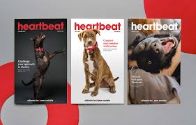 Maybe you would like to learn more about one of these? Atlanta Humane Society Britblankenship