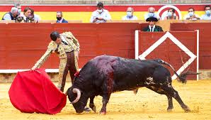 Emilio de Justo y Roca Rey abrieron la puerta grande en Palencia | Todas  las noticias de Palencia