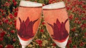 Largest hibiscus website on the internet. Wild Hibiscus Flowers In Syrup Nz Hibiscus Flowers In Champagne Nz Buy Online