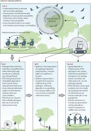 Example of concept paper about environmental conservation and action. Land Use Induced Spillover A Call To Action To Safeguard Environmental Animal And Human Health The Lancet Planetary Health