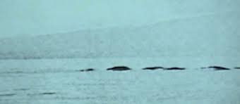 We did not find results for: Ogopogo The Myth Mckinley Beach