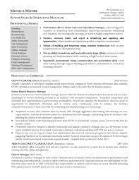 resume samples: program & finance