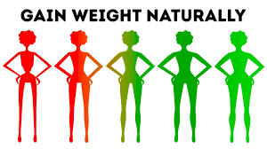 Check spelling or type a new query. How To Gain Weight Naturally In Less Than A Month Youtube