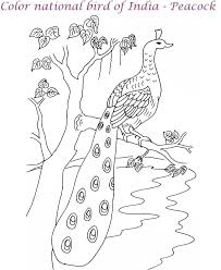 Foster the literacy skills in your child with these free, printable coloring pages that can be easily assembled into a book. Peacock Printable Coloring Page For Kids