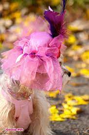Dog Hat Puppy Hat Kentucky Derby Hat Feather Fascinator Puppy Hats Dog Hat Kentucky Derby Hat