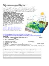 Plants and animals are part of all of the nutrient cycles through the foods they eat and what eats them (food chains and food webs). Name Date Biogeochemical Cycles Webquest Name Date Biogeochemical Cycles Webquest Pdf Pdf4pro