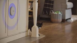 The thing about invisible fences is that while it may keep your cat inside your yard, it will do absolutely nothing to keep other animals out of your yard. Training Your Pet With Invisible Fence Indoor Shields Youtube