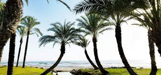 If you choose address personal issues with my guest, you will be taken to the airbnb contact page. Torremolinos Best Gay Accommodations Book Rooms Apartments Hotels
