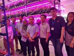 Impressive expansion sdn bhd, is one of the leading suppliers specialize in supply for all type latex, nitrile & vinly disposable glove; Facebook