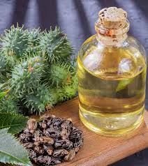 We have almost everything on ebay. à¤•à¤¬ à¤œ à¤¦ à¤° à¤•à¤°à¤¨ à¤• à¤² à¤ à¤…à¤° à¤¡ à¤• à¤¤ à¤² à¤• à¤‰à¤ªà¤¯ à¤— Castor Oil For Constipation In Hindi