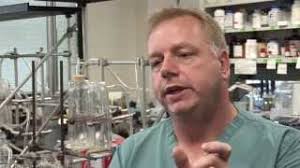 New research shows how heart cells communicate to regulate heart activity