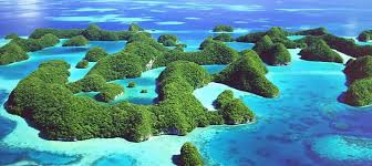 Palau's sole provider of power, water, and waste management! Palau Reefs 7 Wonders