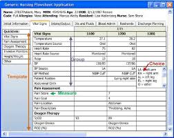 vital signs template of a flowsheet within the electronic