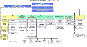 health is wealth organizational chart of ministry of health