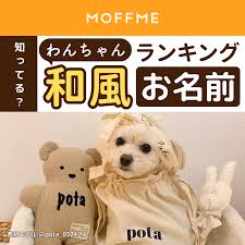 白い 犬 名前 和風