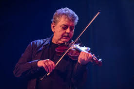 Music From The Blind Fiddler by Cathal Hayden, Máirtín O'Connor, Cathal  Synnott and Seamus O'Dowd