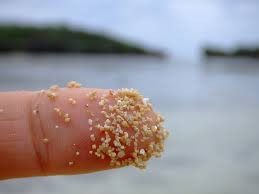 Hoshizuna no hama means star sand beach, and is so named because the grains of sand found here are shaped like tiny stars. Sternensand Strand Hoshizuna No Hama In Japan 2021