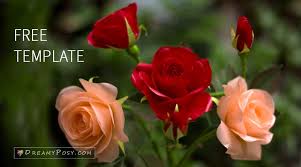 Leave us feedback comment bellow if you need more. How To Make Tissue Paper Rose Free Template Step By Step