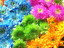 We did not find results for: á… Le Migliori Immagini Di Fiori Per Whatsapp 105 Top Immagini